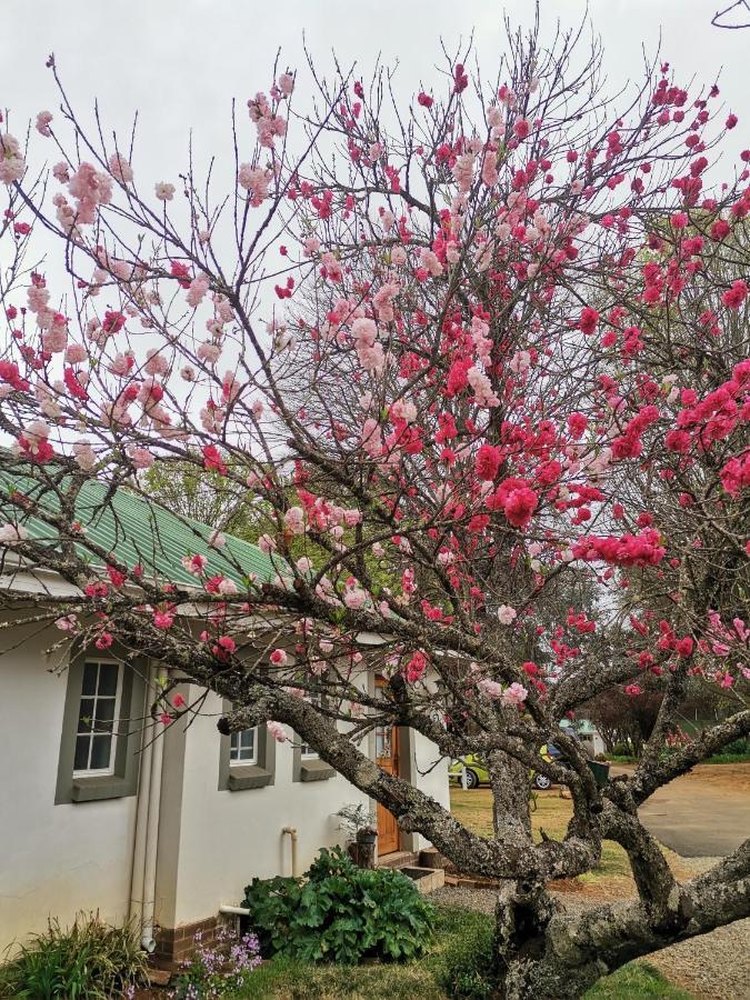 Sani Window B&B And Self Catering Underberg Extérieur photo