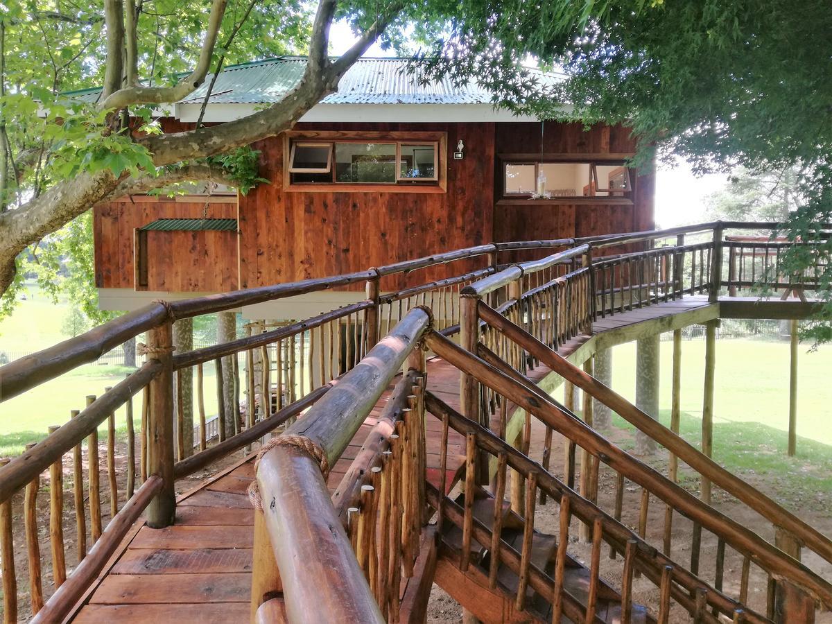 Sani Window B&B And Self Catering Underberg Extérieur photo