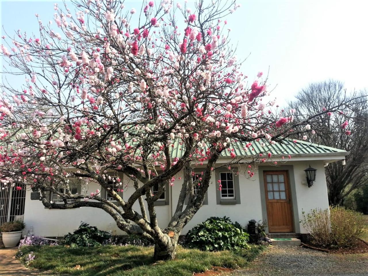 Sani Window B&B And Self Catering Underberg Extérieur photo